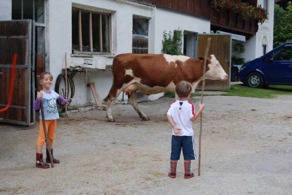 Hinterankerwald Daire Walchsee Dış mekan fotoğraf