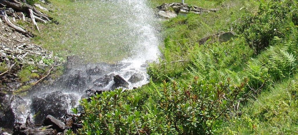Hinterankerwald Daire Walchsee Oda fotoğraf