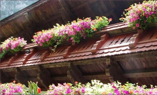 Hinterankerwald Daire Walchsee Dış mekan fotoğraf