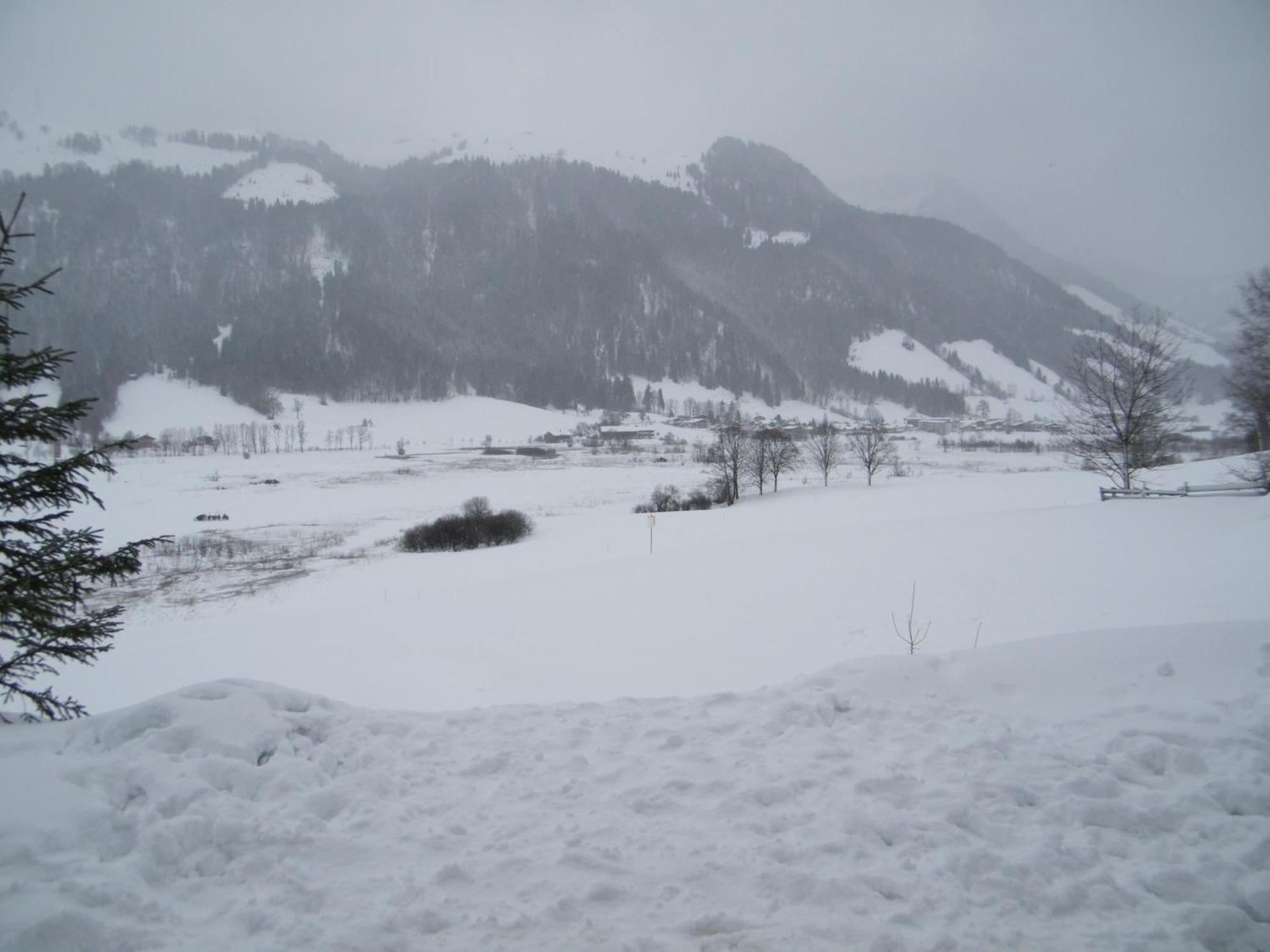 Hinterankerwald Daire Walchsee Dış mekan fotoğraf