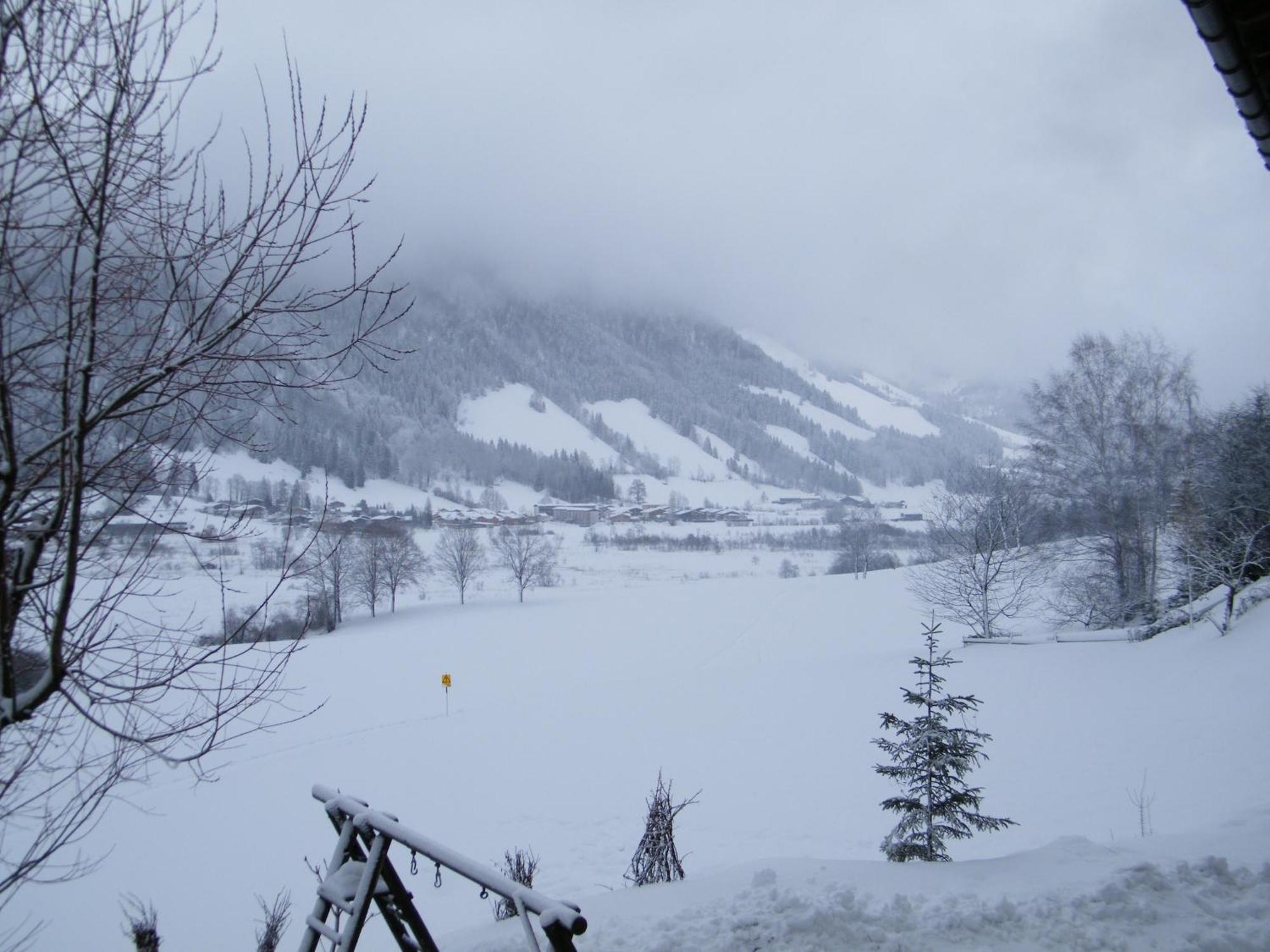 Hinterankerwald Daire Walchsee Dış mekan fotoğraf