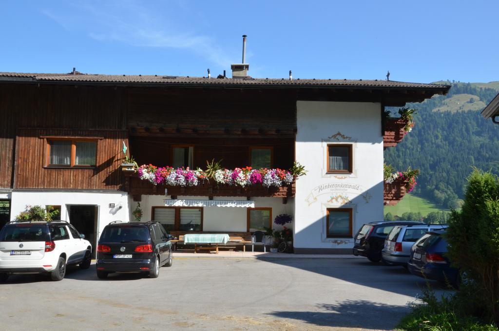 Hinterankerwald Daire Walchsee Dış mekan fotoğraf