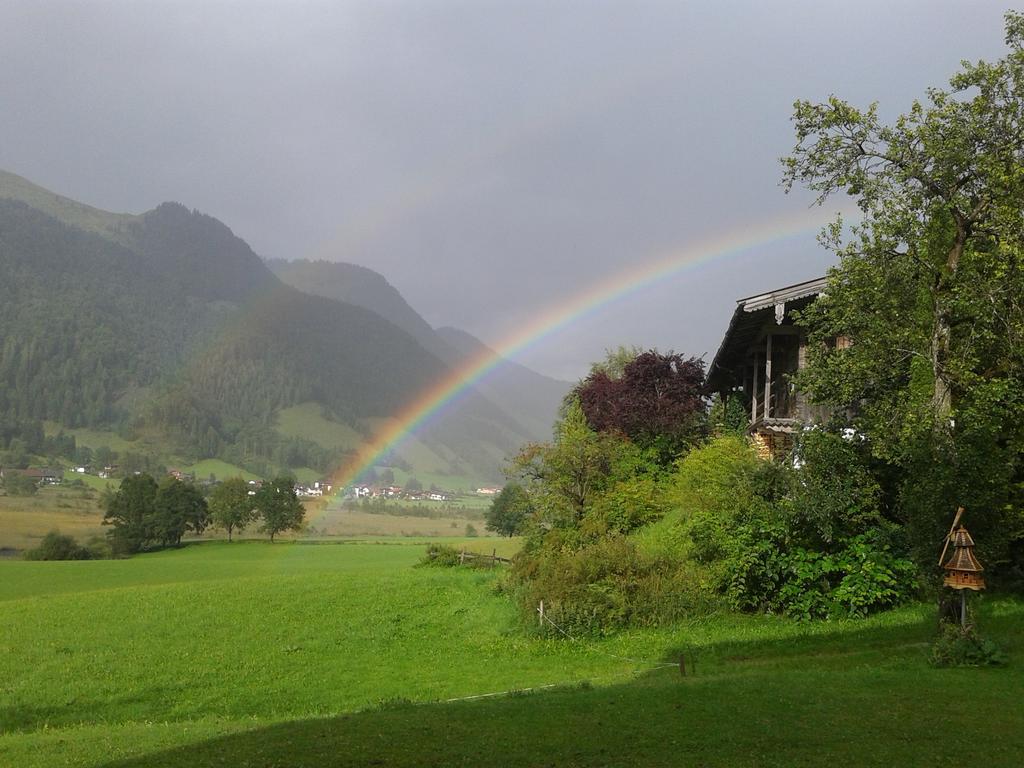 Hinterankerwald Daire Walchsee Dış mekan fotoğraf