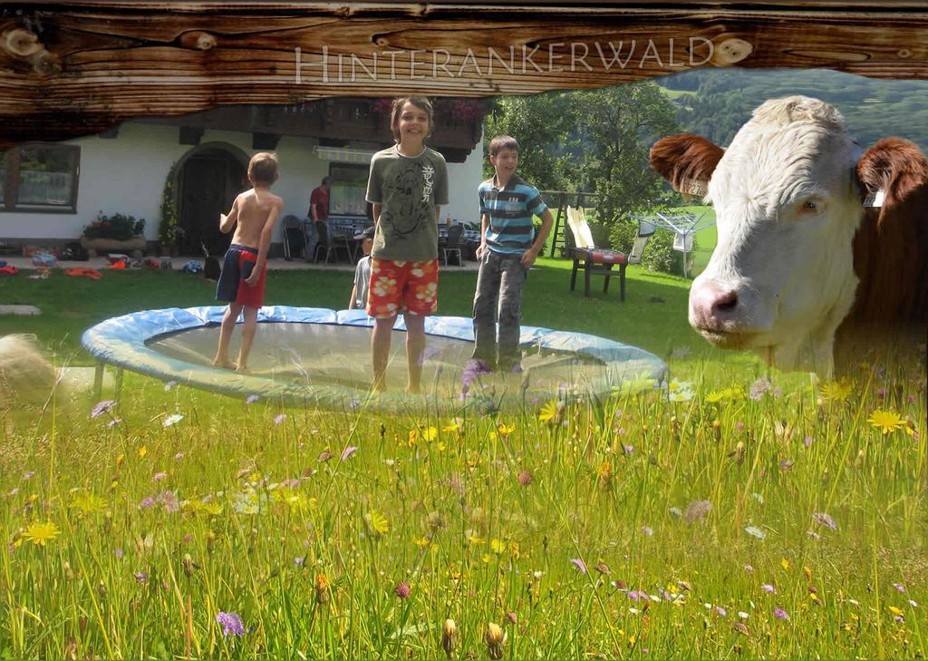 Hinterankerwald Daire Walchsee Dış mekan fotoğraf