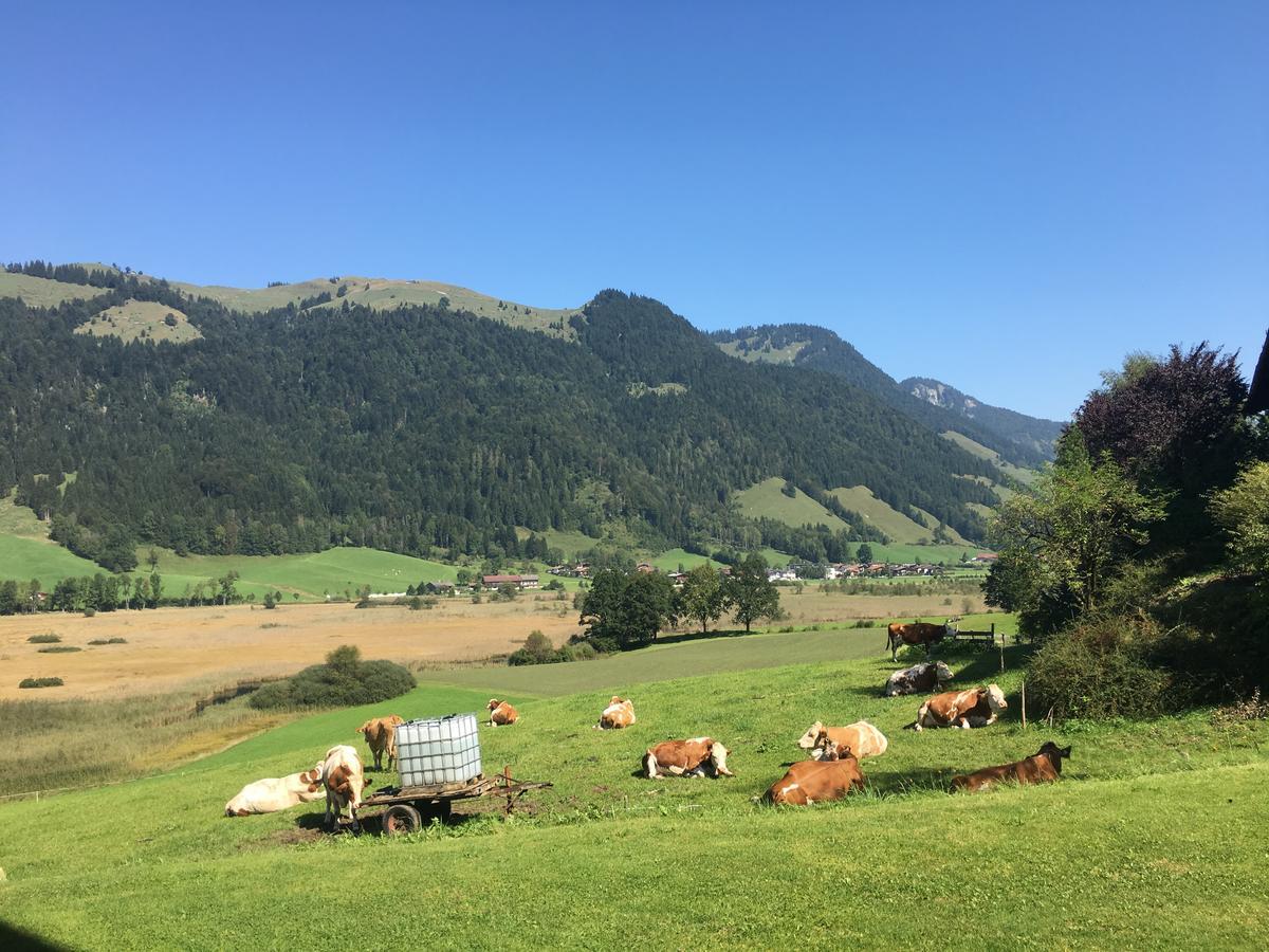 Hinterankerwald Daire Walchsee Dış mekan fotoğraf